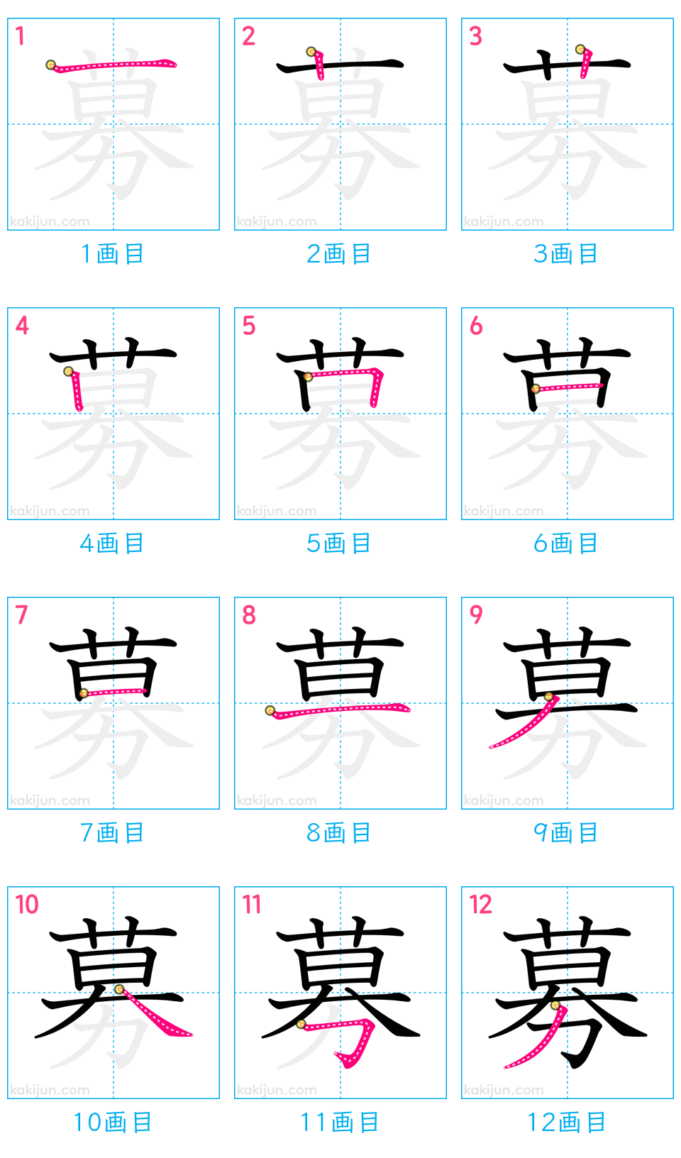 「募」の書き順（画数）