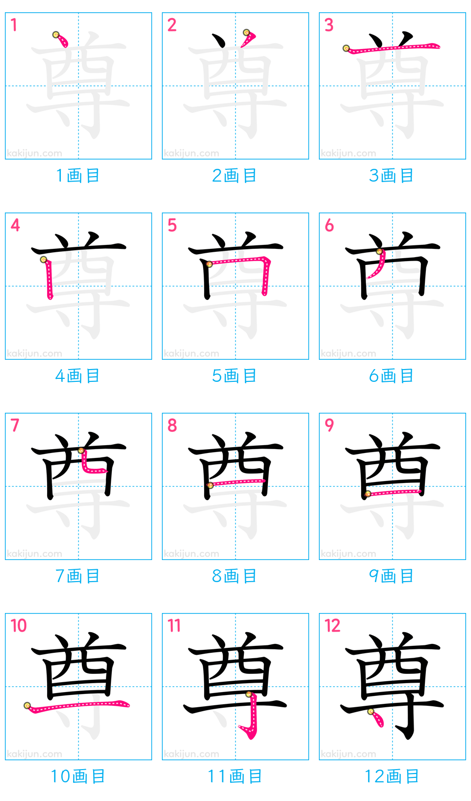 「尊」の書き順（画数）