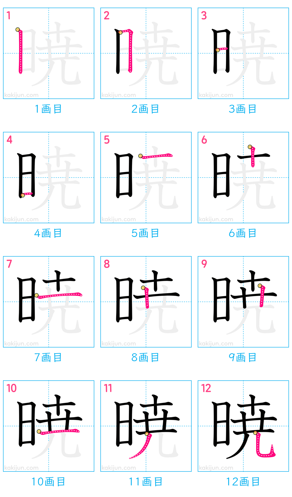 「暁」の書き順（画数）