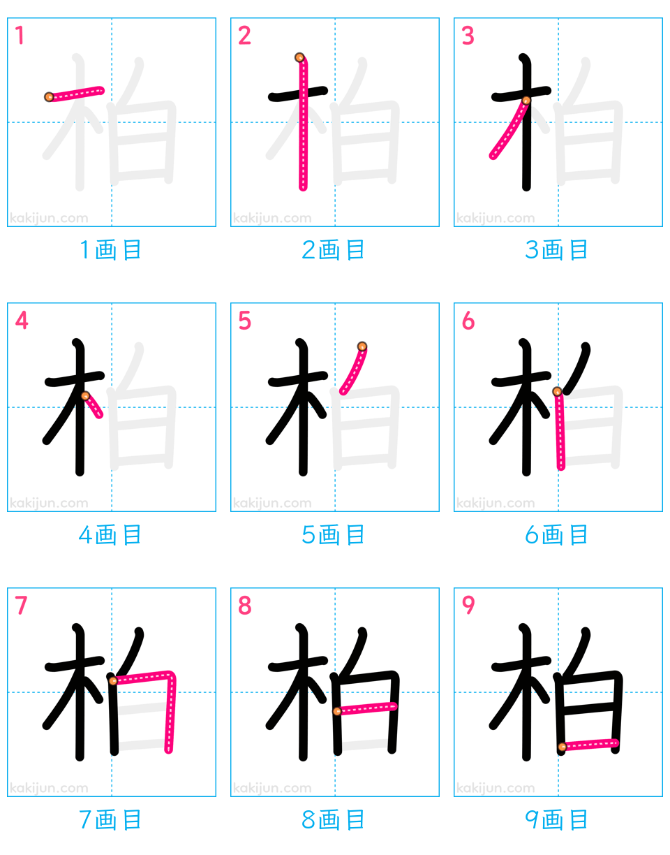 「柏」の書き順（画数）