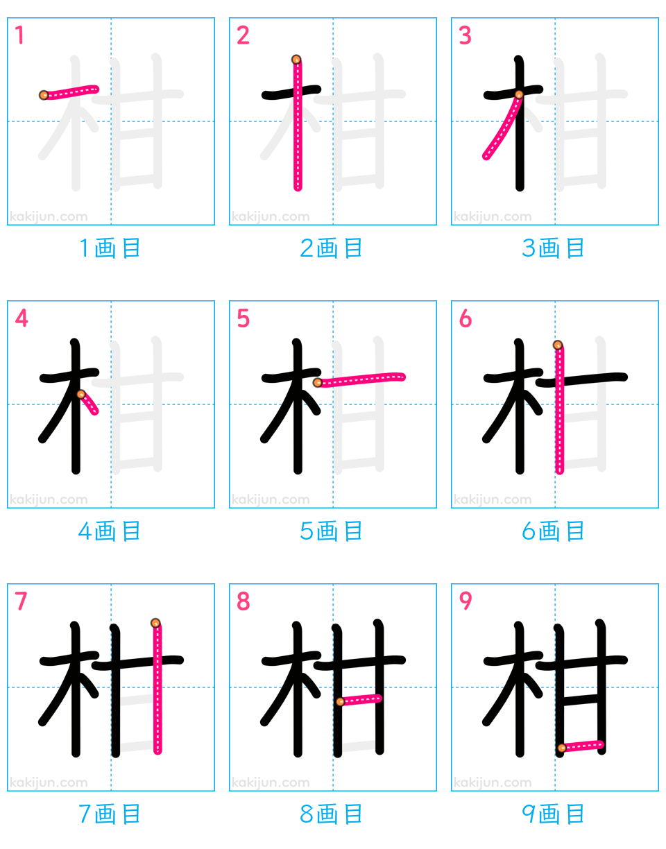 「柑」の書き順（画数）