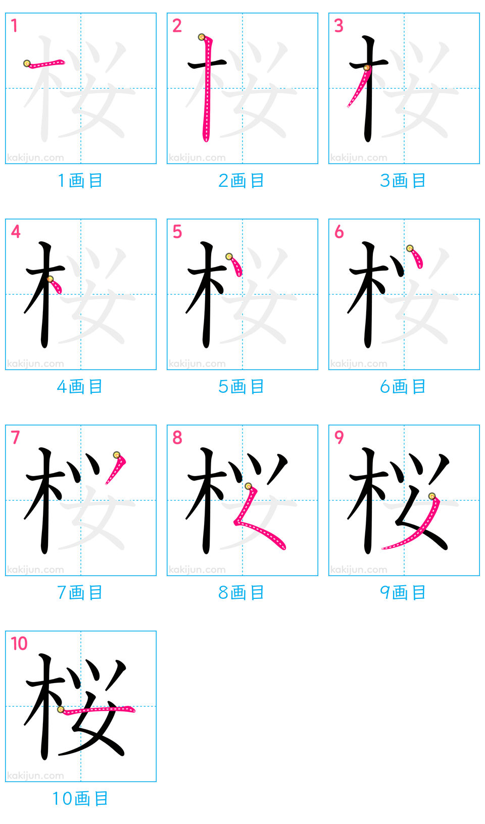 「桜」の書き順（画数）