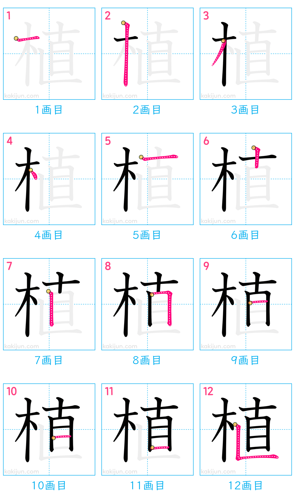 「植」の書き順（画数）