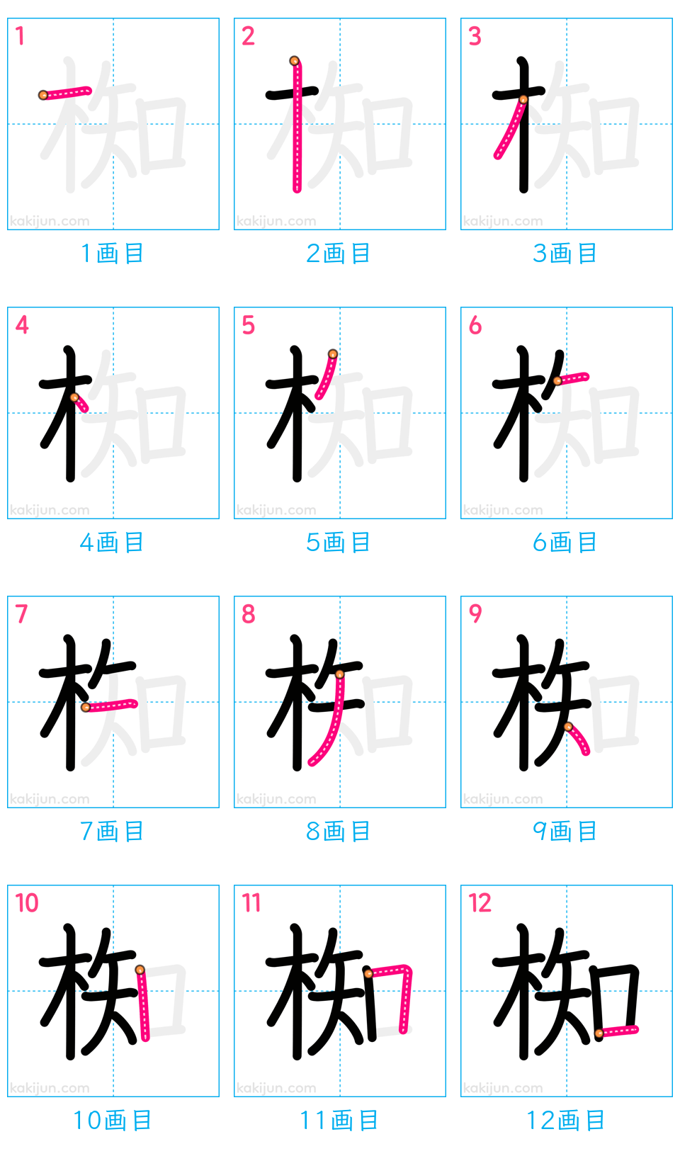 「椥」の書き順（画数）