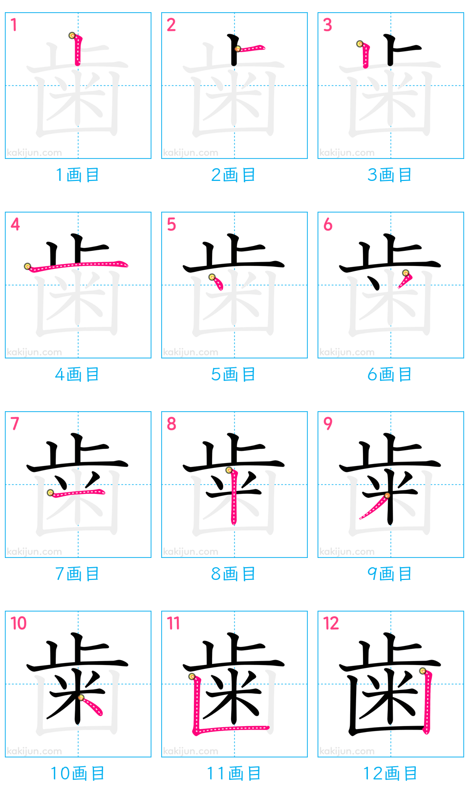 「歯」の書き順（画数）