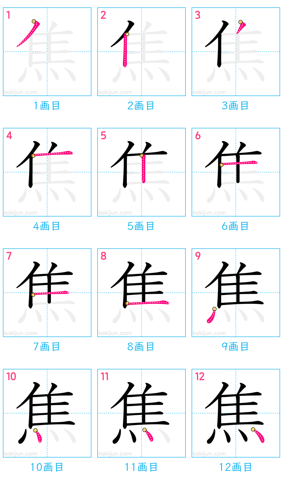 「焦」の書き順（画数）