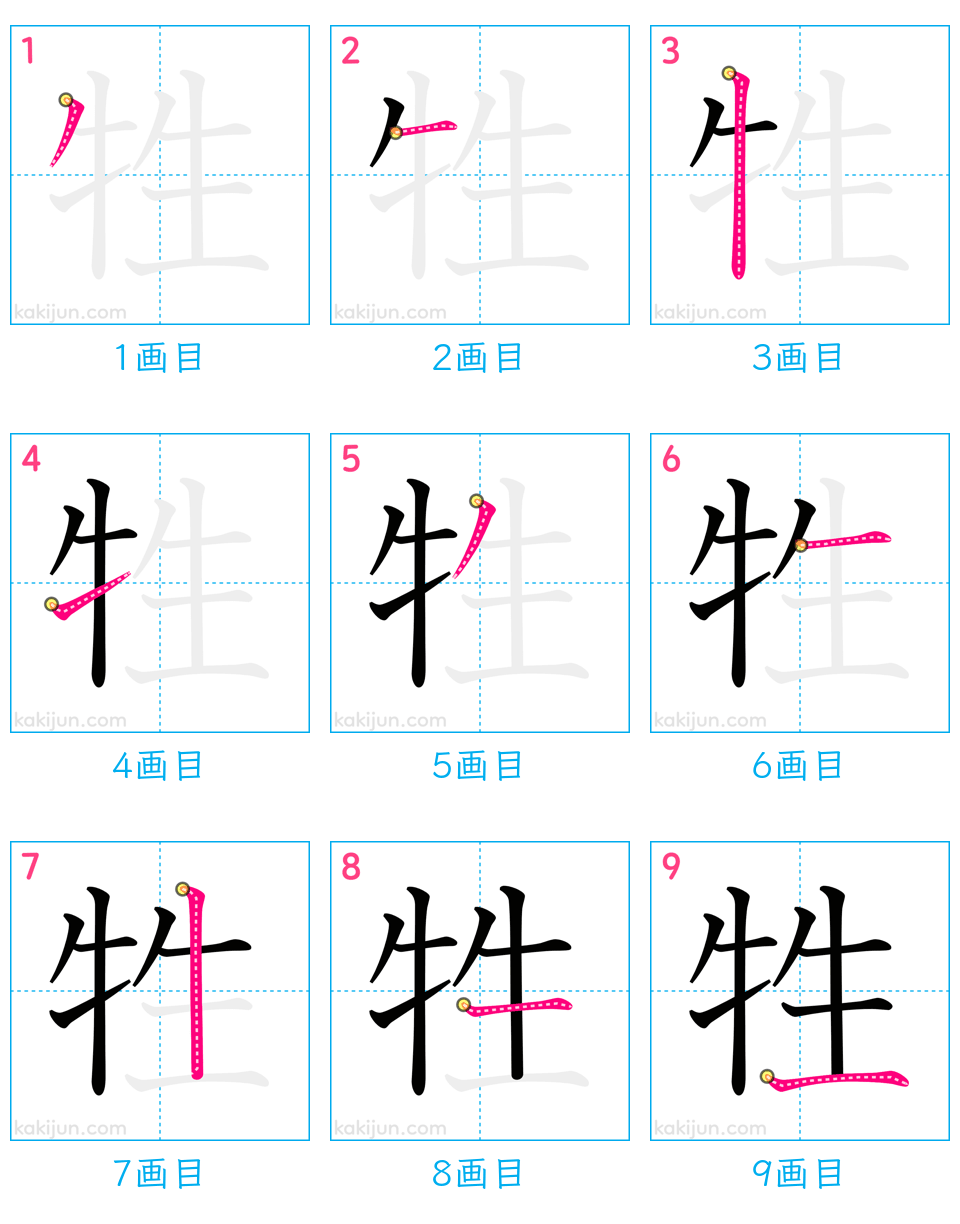 「牲」の書き順（画数）