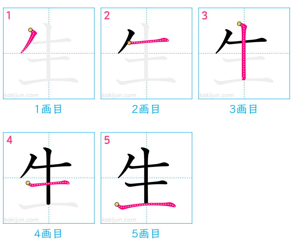 「生」の書き順（画数）