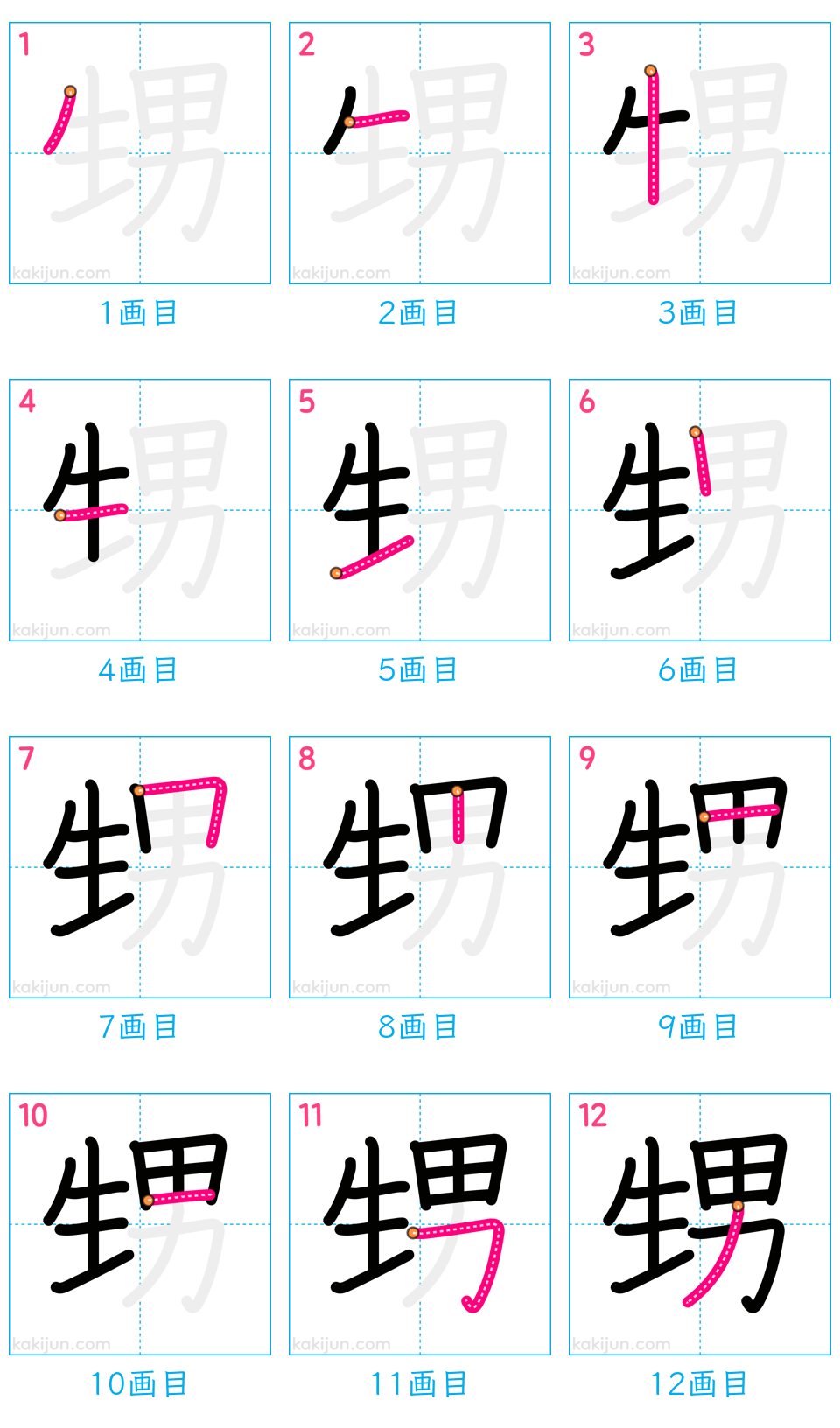 「甥」の書き順（画数）