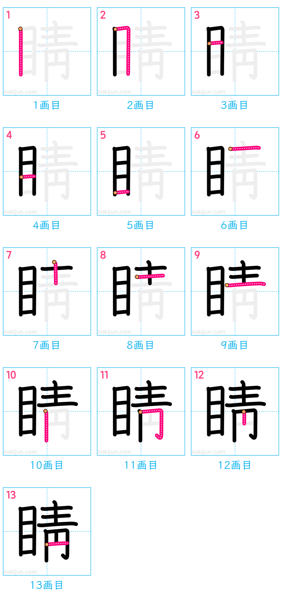 「睛」の書き順（画数）