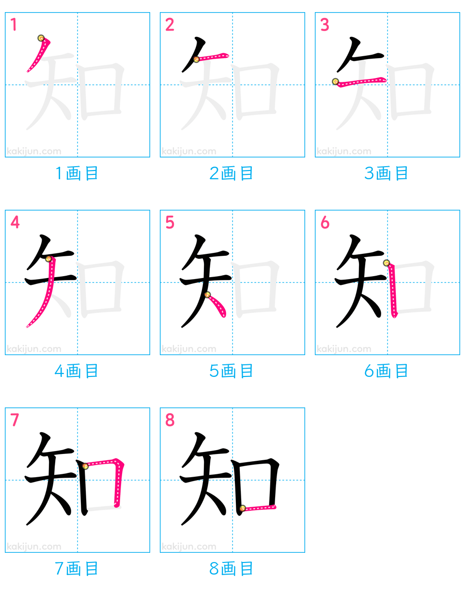 「知」の書き順（画数）