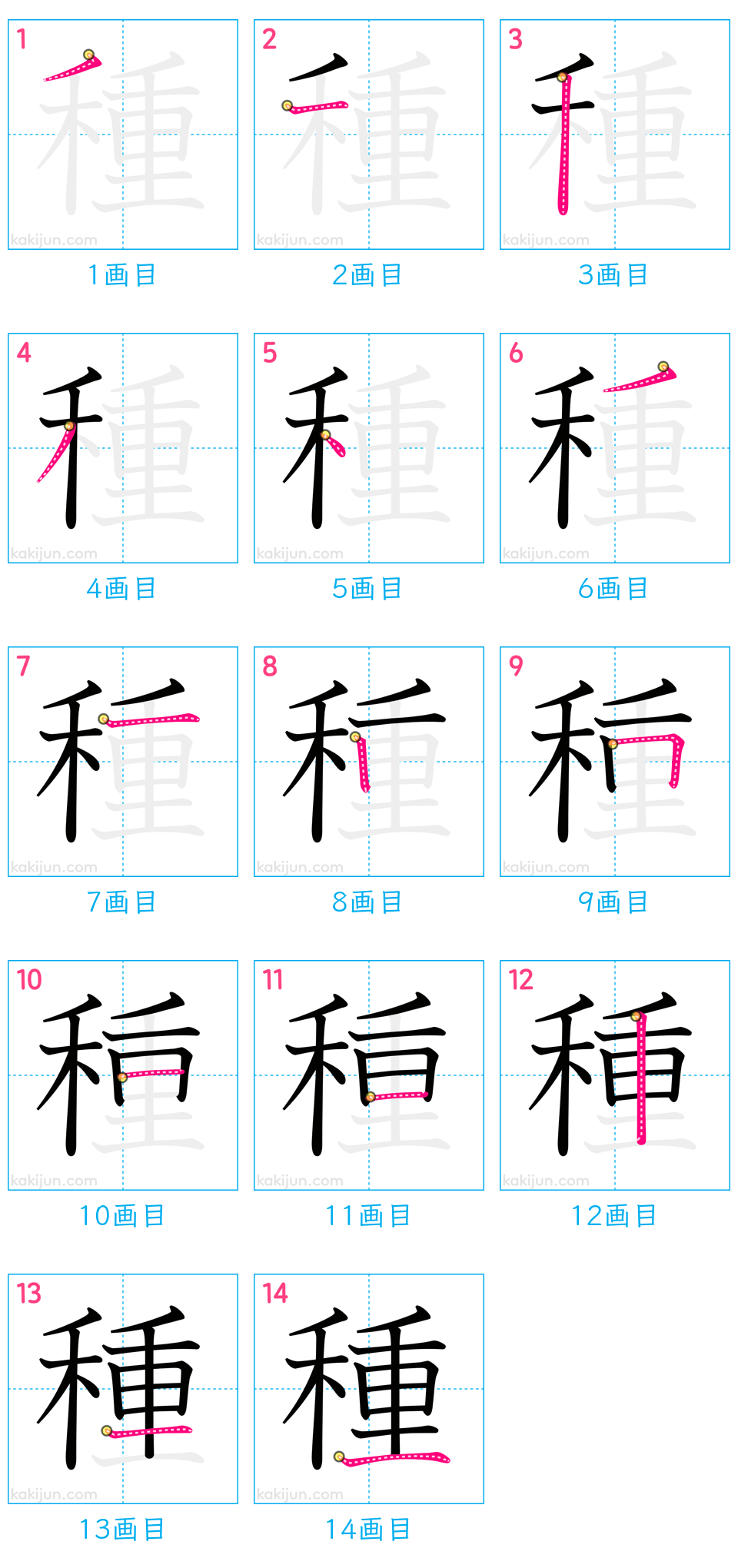 「種」の書き順（画数）