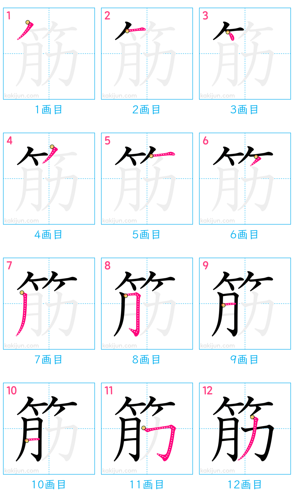 「筋」の書き順（画数）