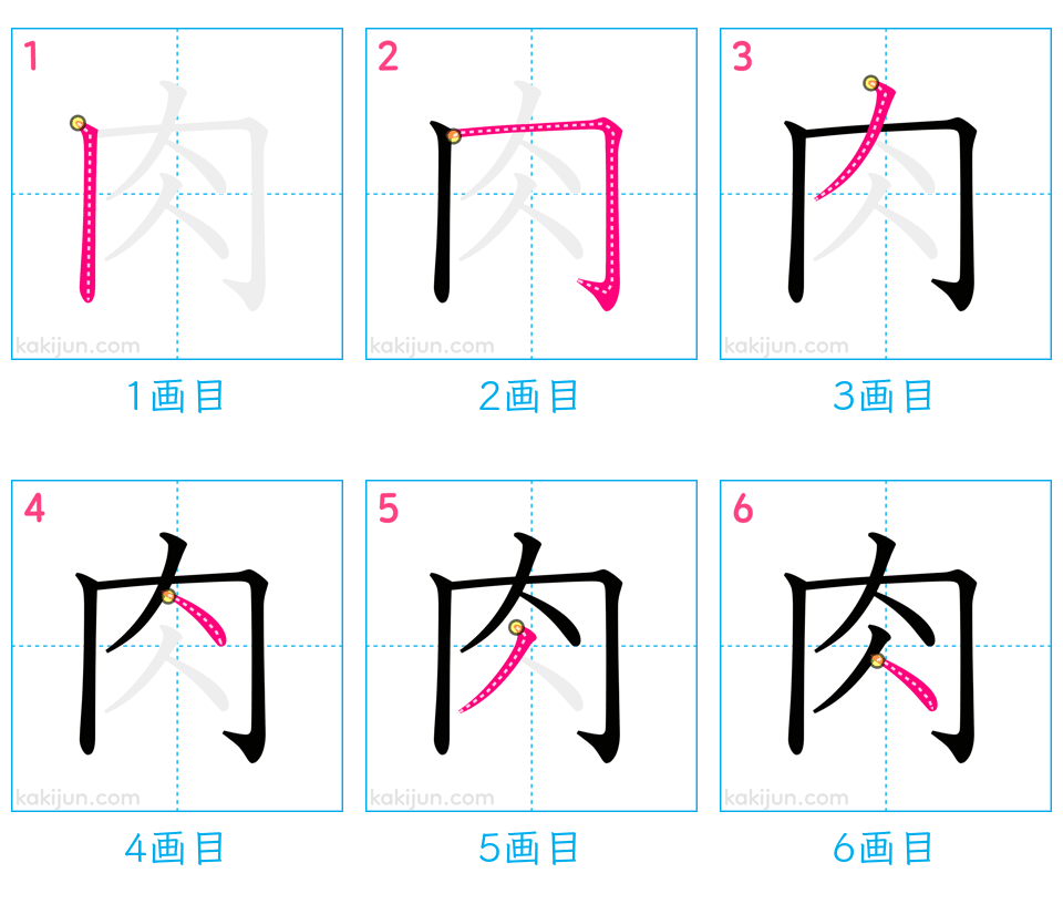 「肉」の書き順（画数）