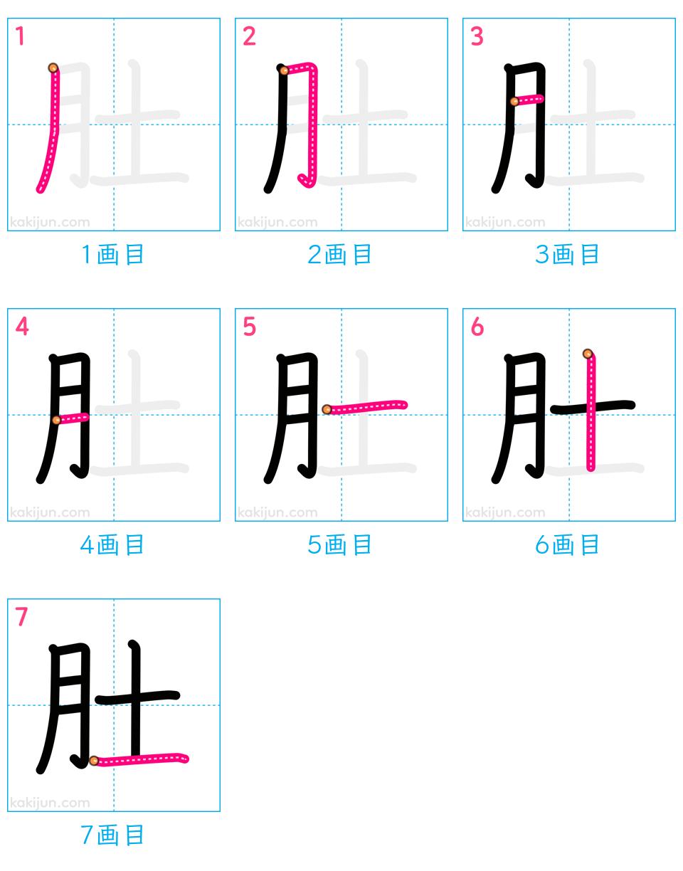 「肚」の書き順（画数）