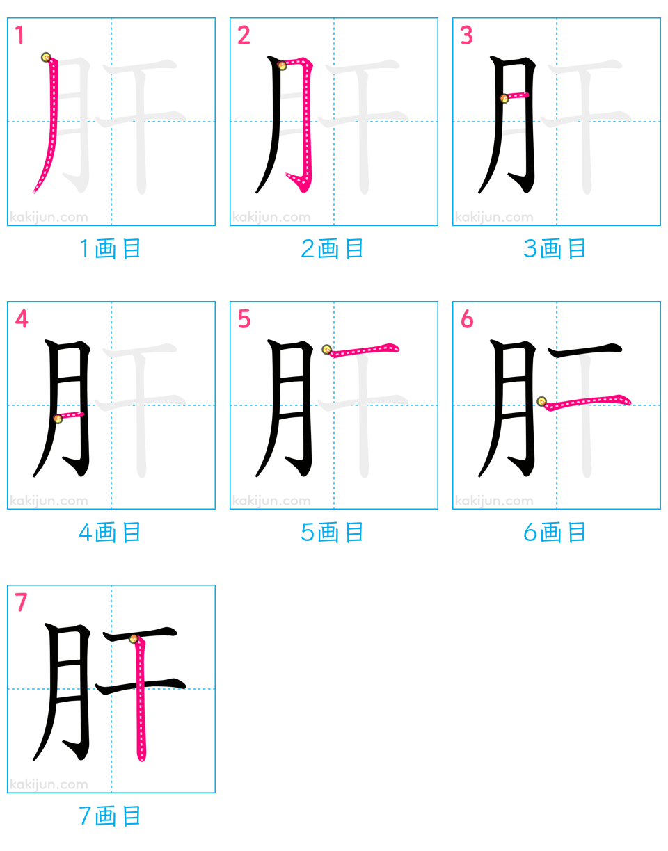 「肝」の書き順（画数）