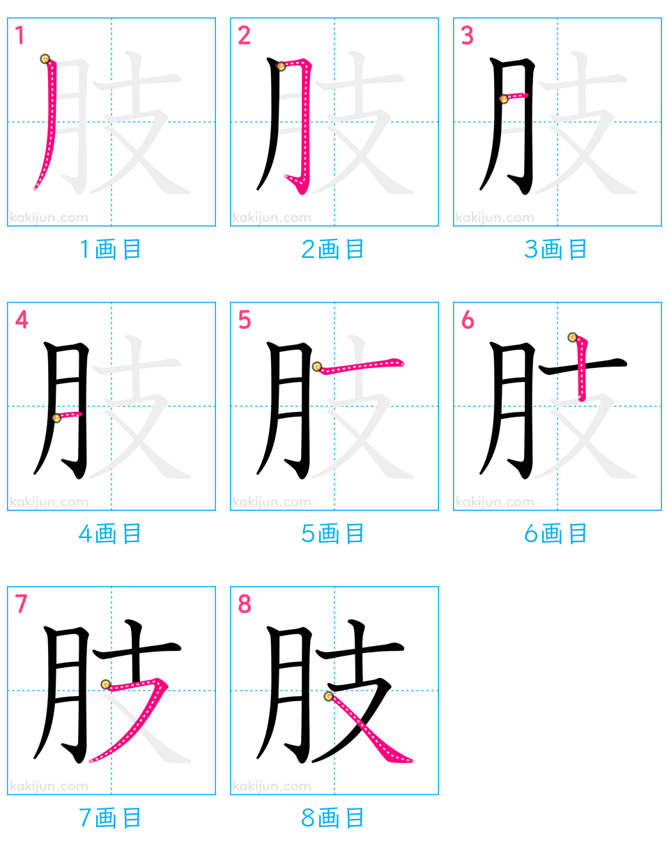 「肢」の書き順（画数）