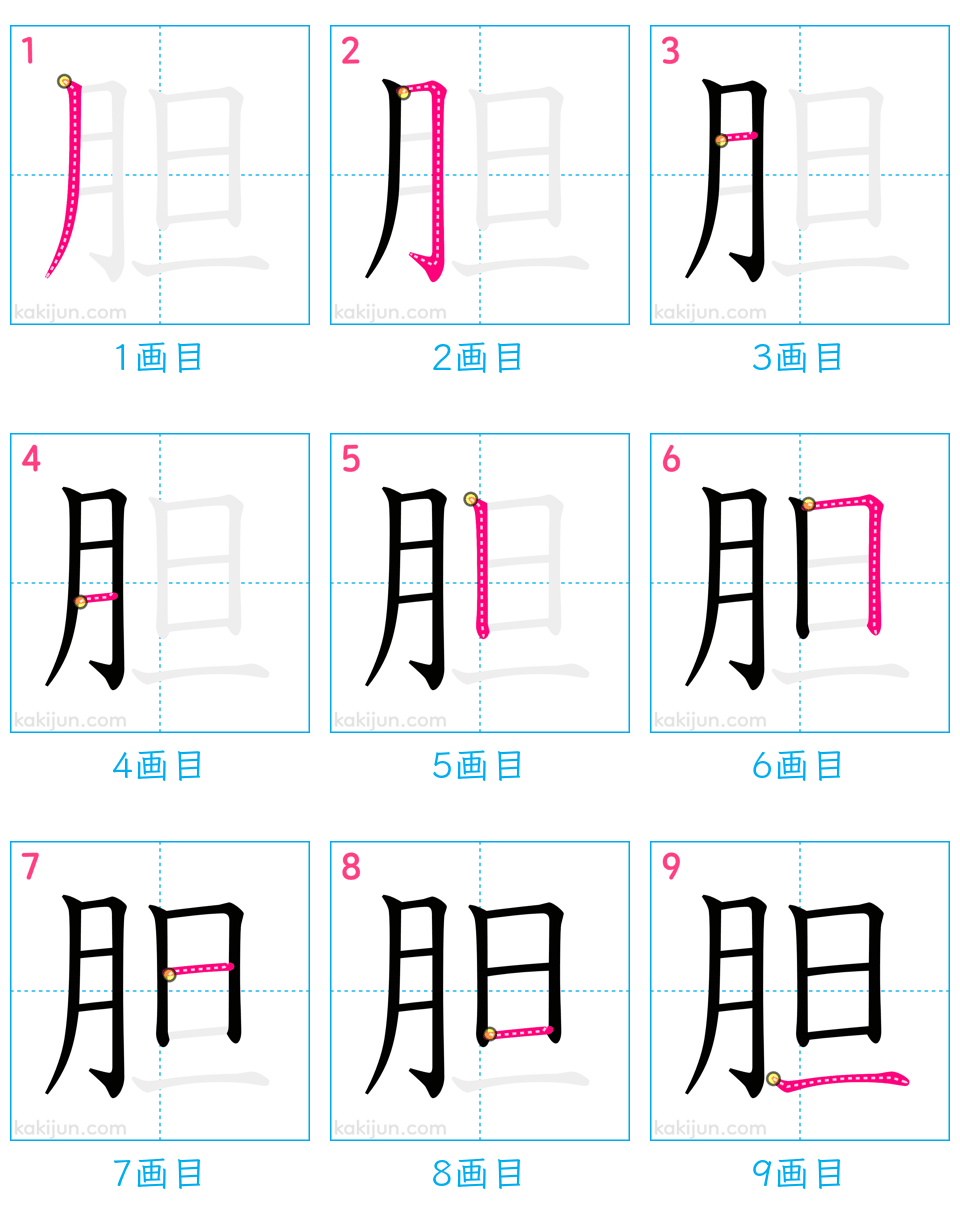 「胆」の書き順（画数）