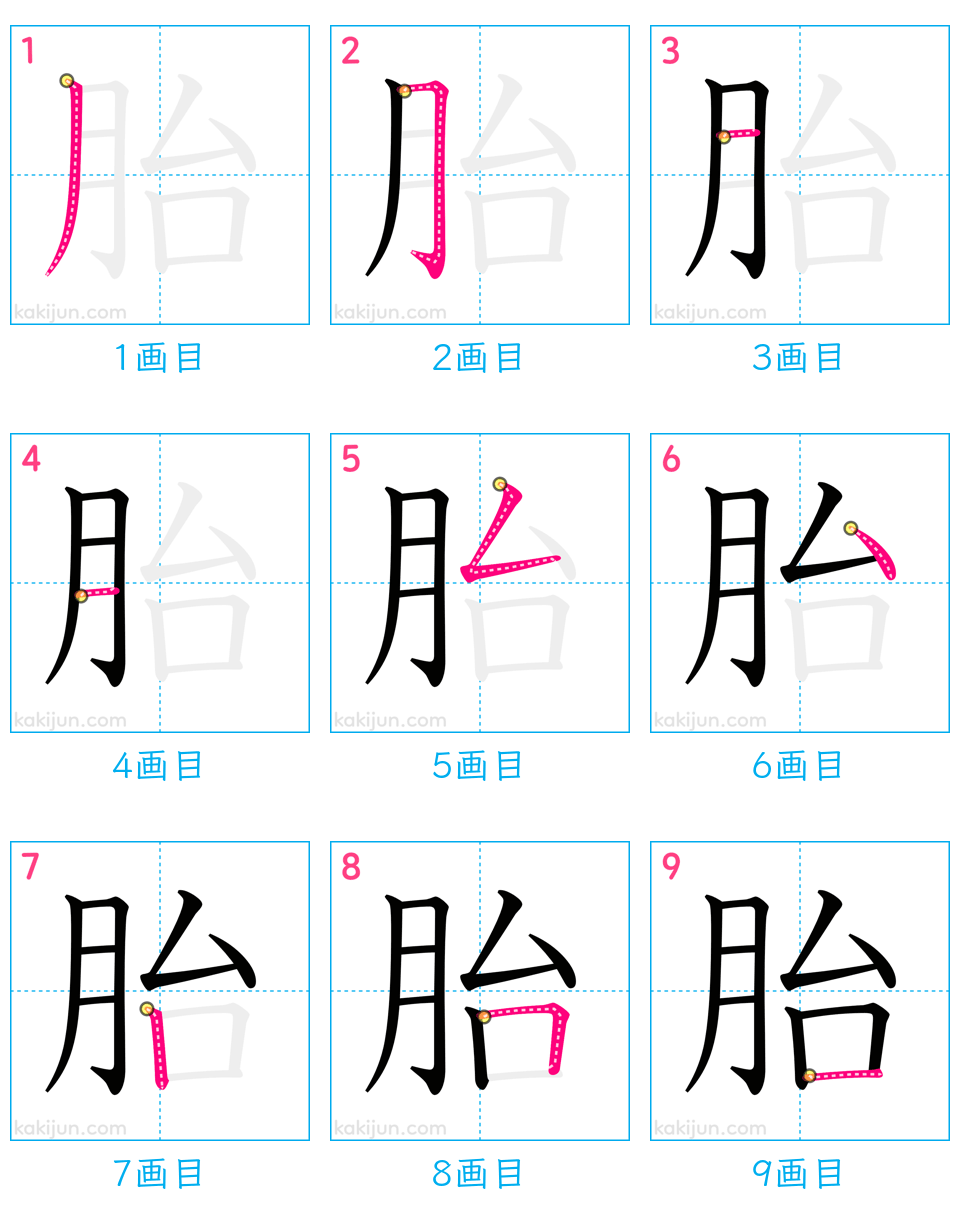 「胎」の書き順（画数）