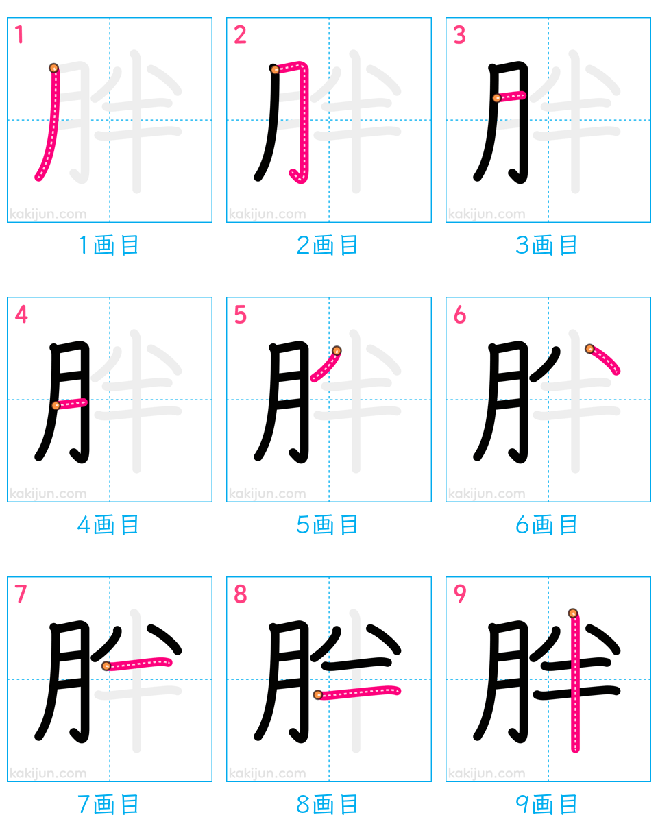 「胖」の書き順（画数）