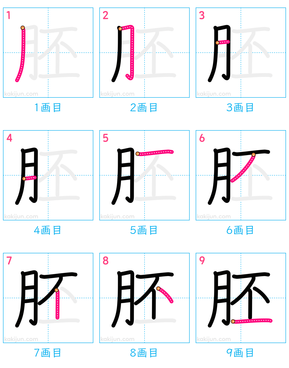 「胚」の書き順（画数）