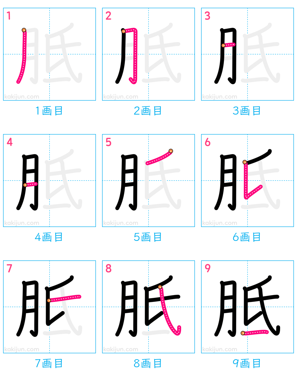 「胝」の書き順（画数）