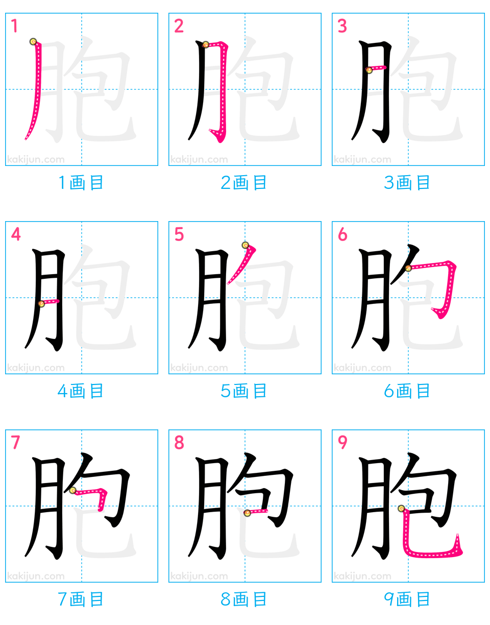 「胞」の書き順（画数）