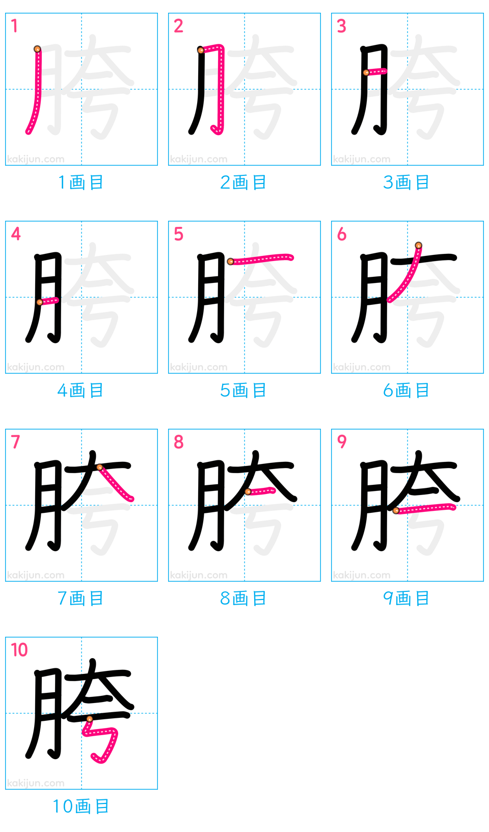 「胯」の書き順（画数）