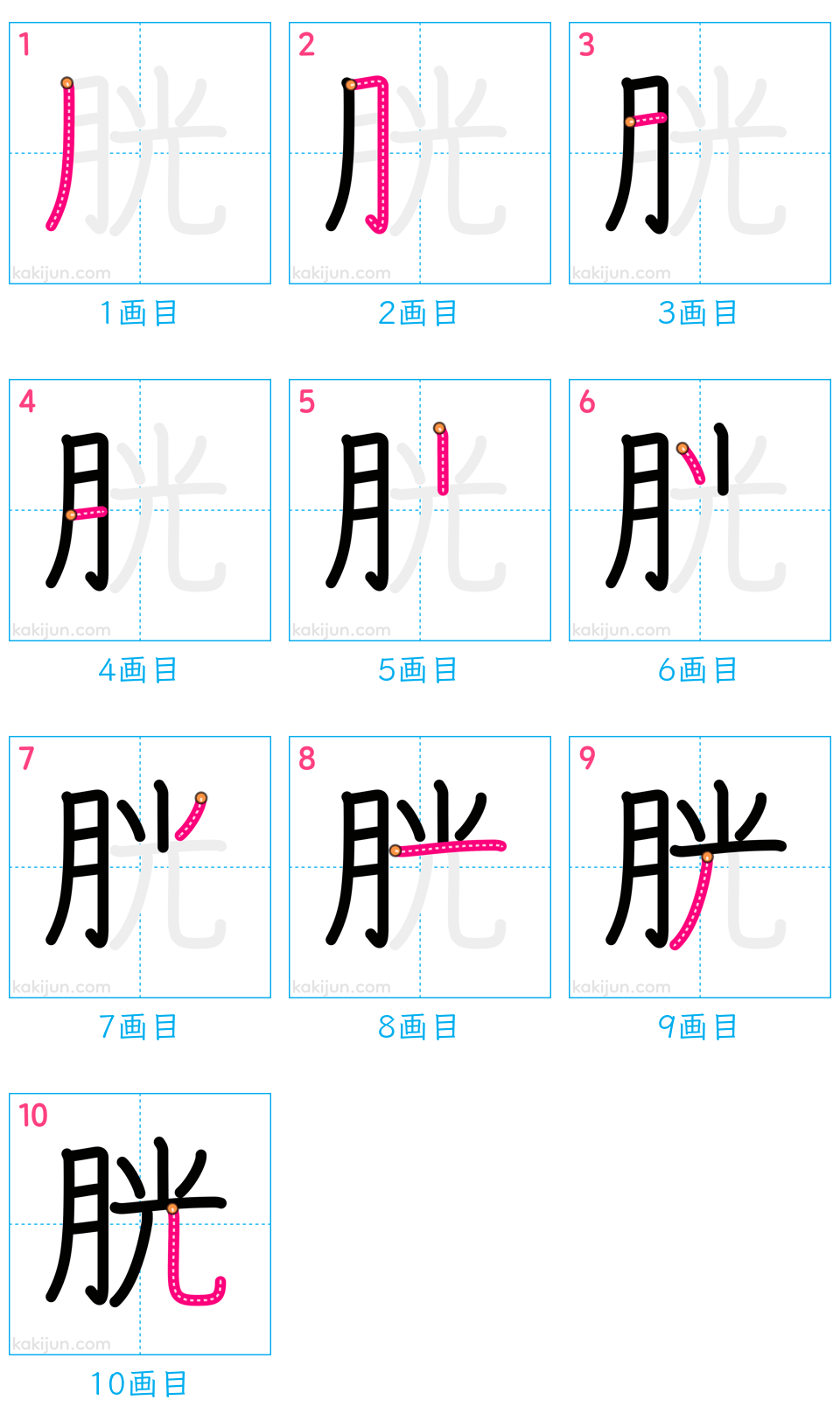 「胱」の書き順（画数）