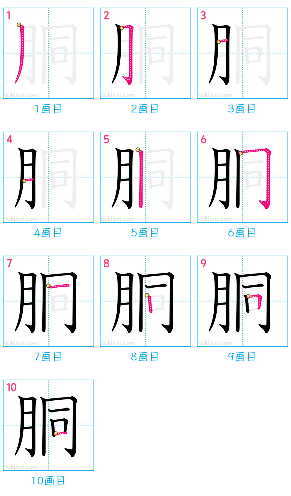 「胴」の書き順（画数）