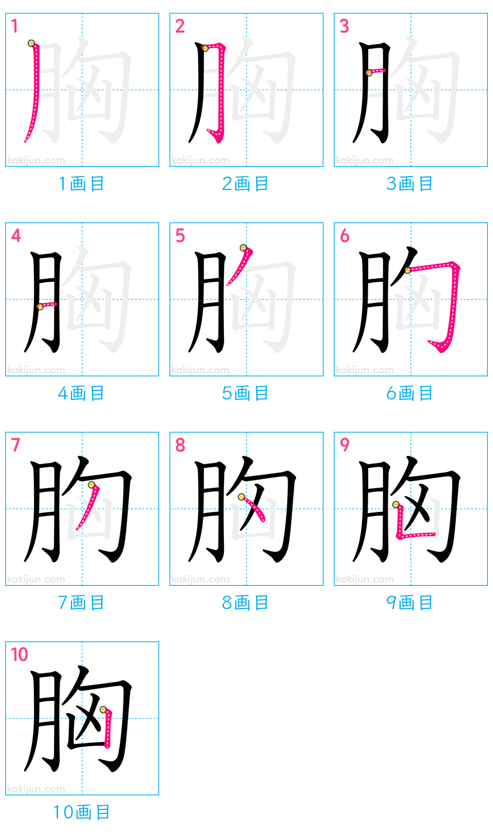 「胸」の書き順（画数）