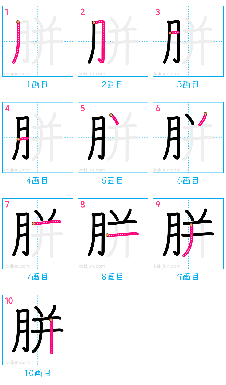 「胼」の書き順（画数）