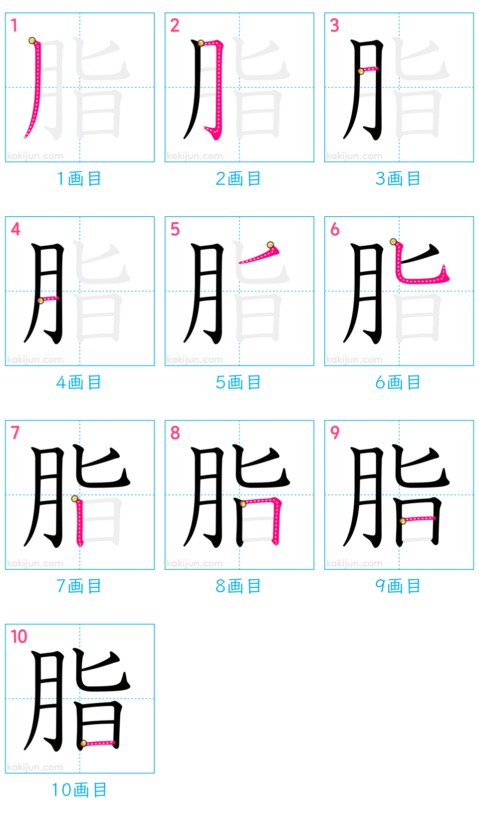 「脂」の書き順（画数）