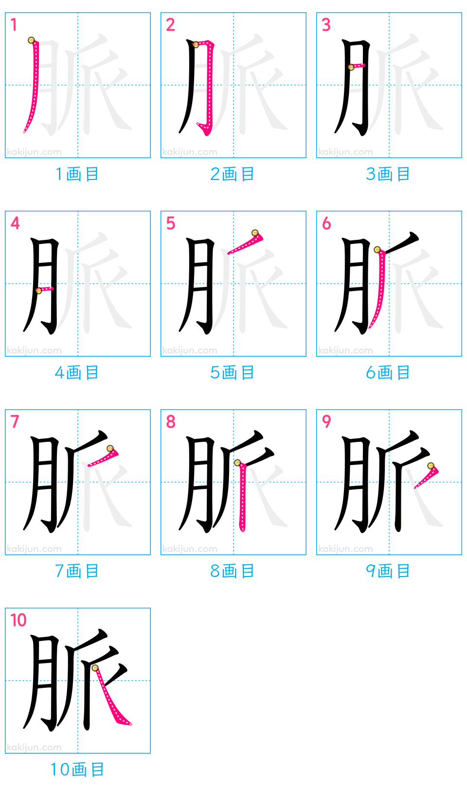 「脈」の書き順（画数）