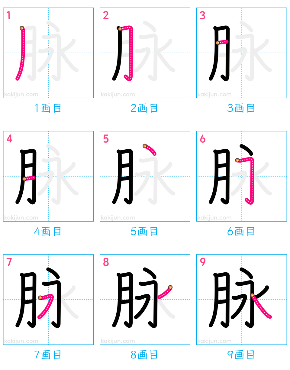 「脉」の書き順（画数）