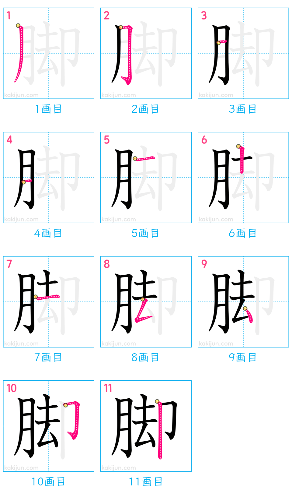 「脚」の書き順（画数）