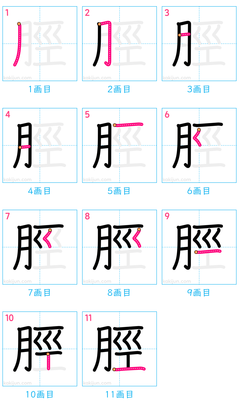 「脛」の書き順（画数）