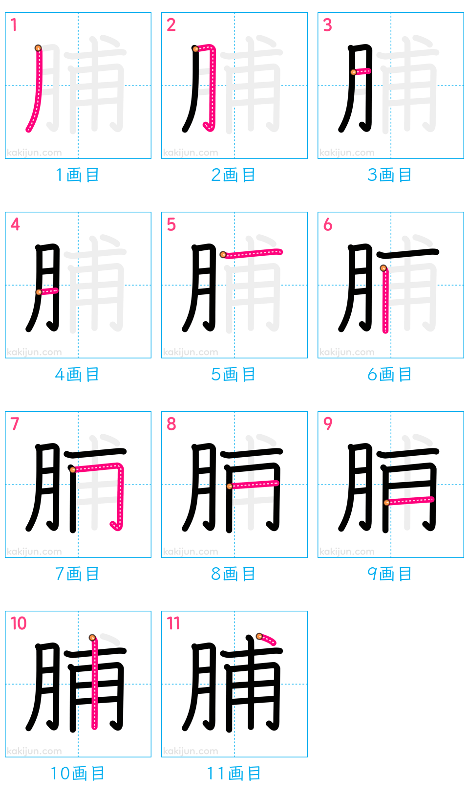 「脯」の書き順（画数）