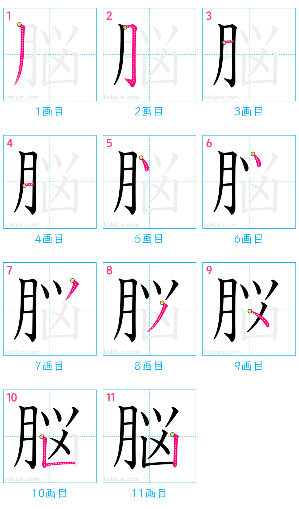 「脳」の書き順（画数）