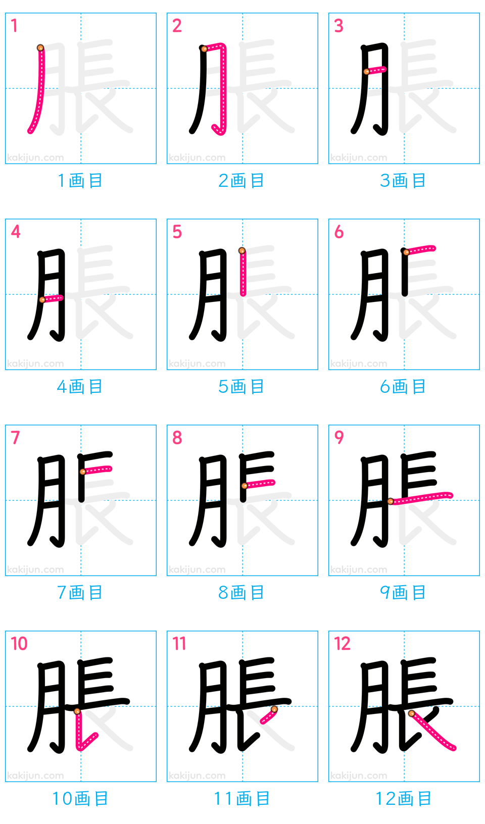 「脹」の書き順（画数）