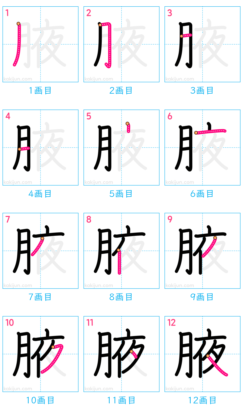 「腋」の書き順（画数）