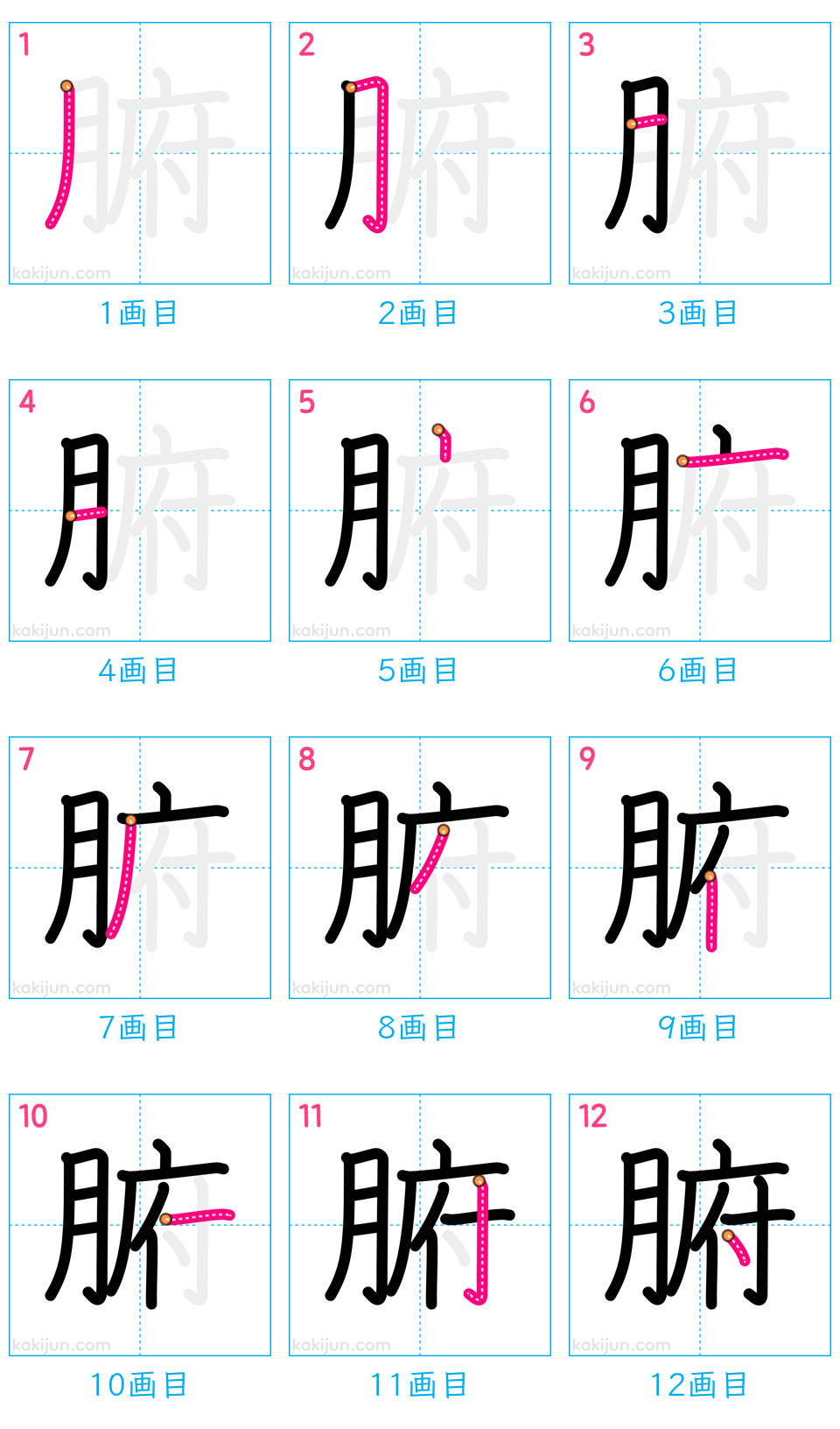 「腑」の書き順（画数）