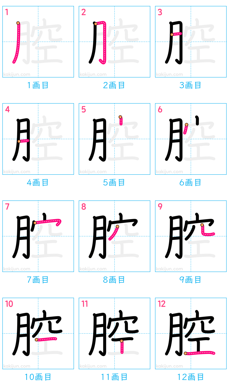 「腔」の書き順（画数）