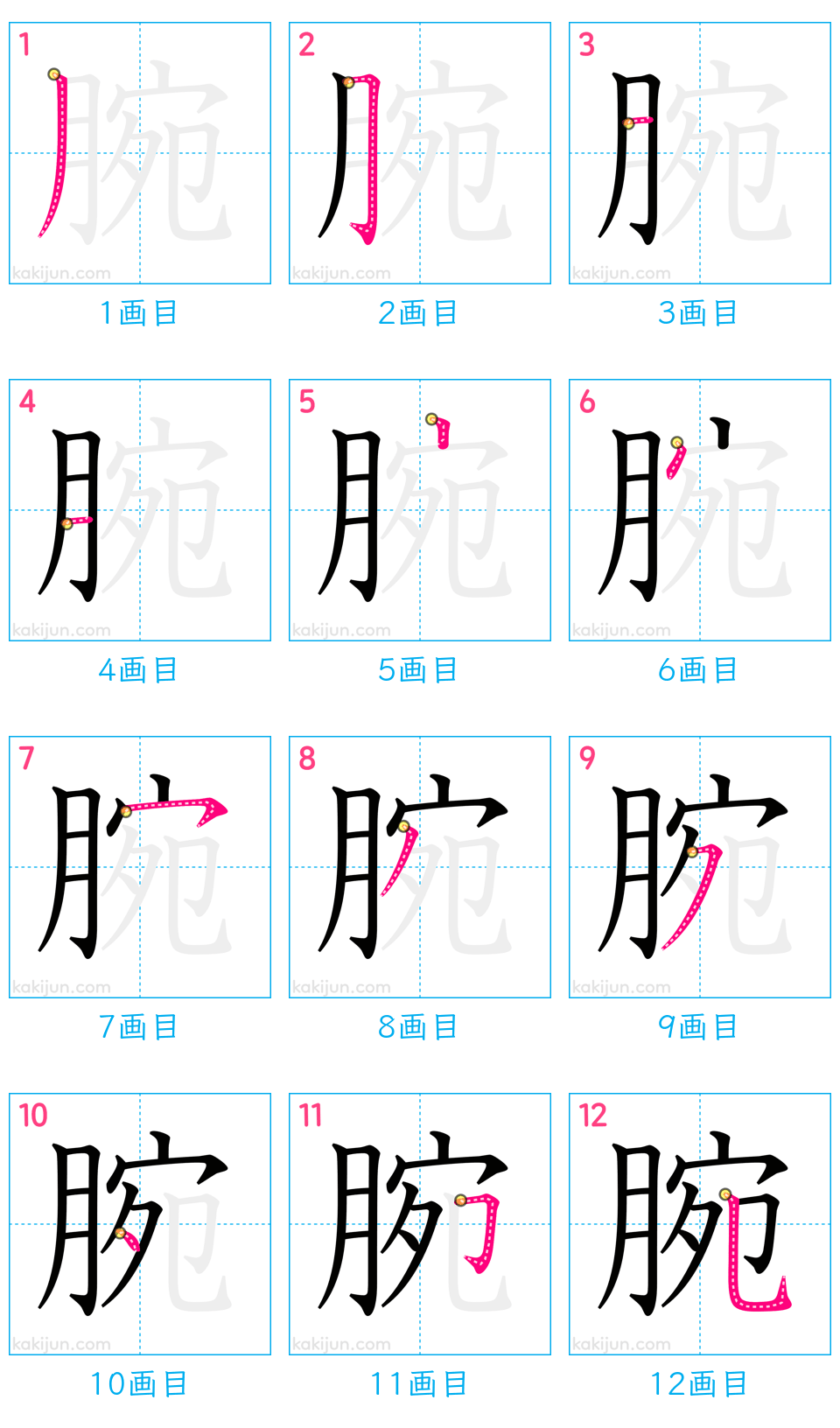 「腕」の書き順（画数）