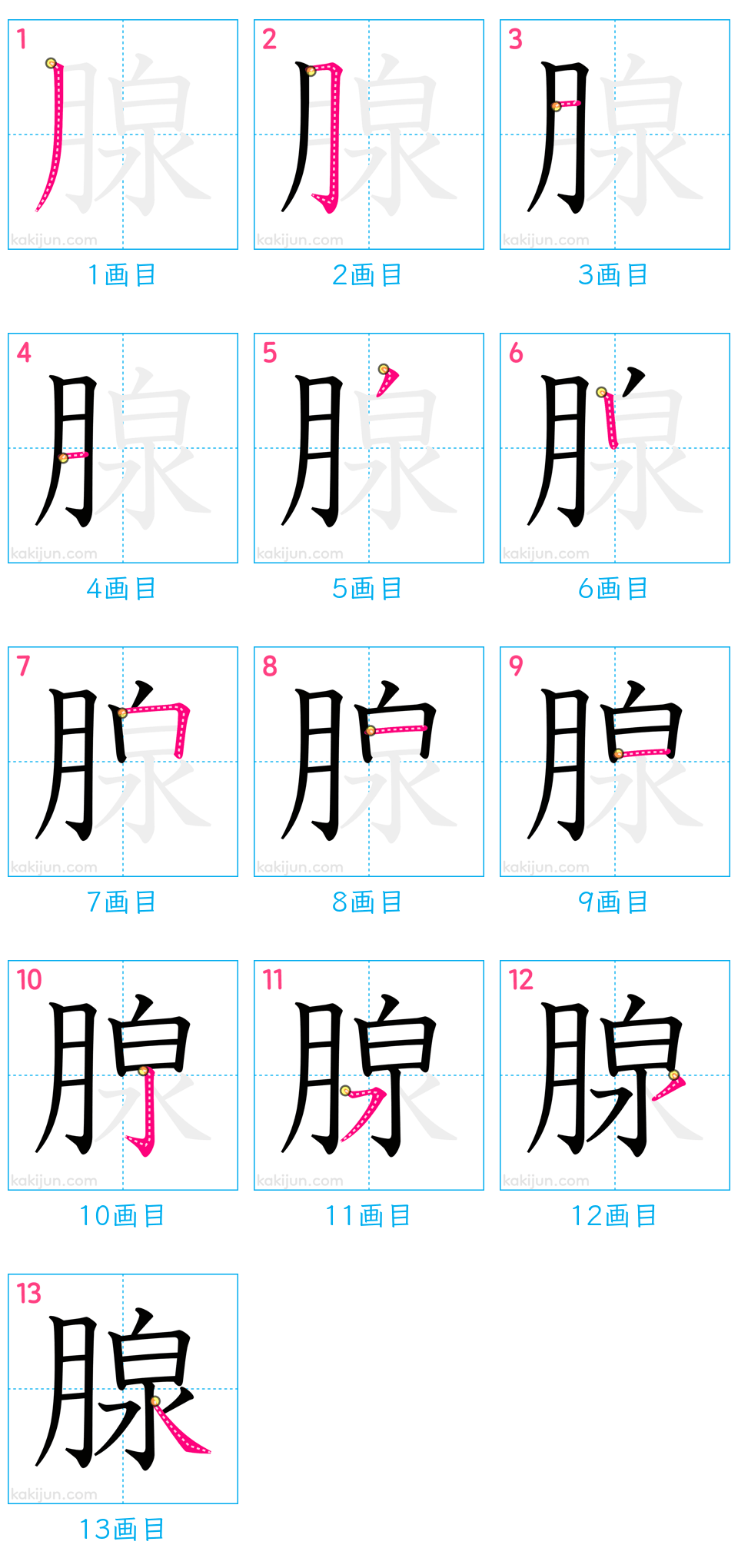 「腺」の書き順（画数）