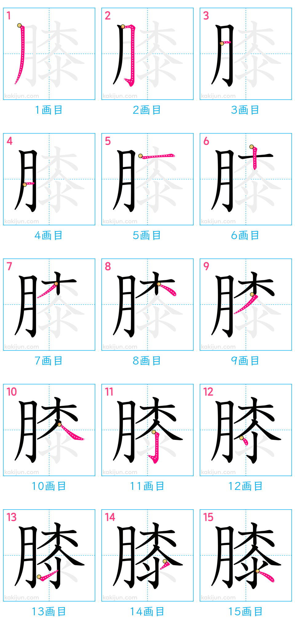 「膝」の書き順（画数）