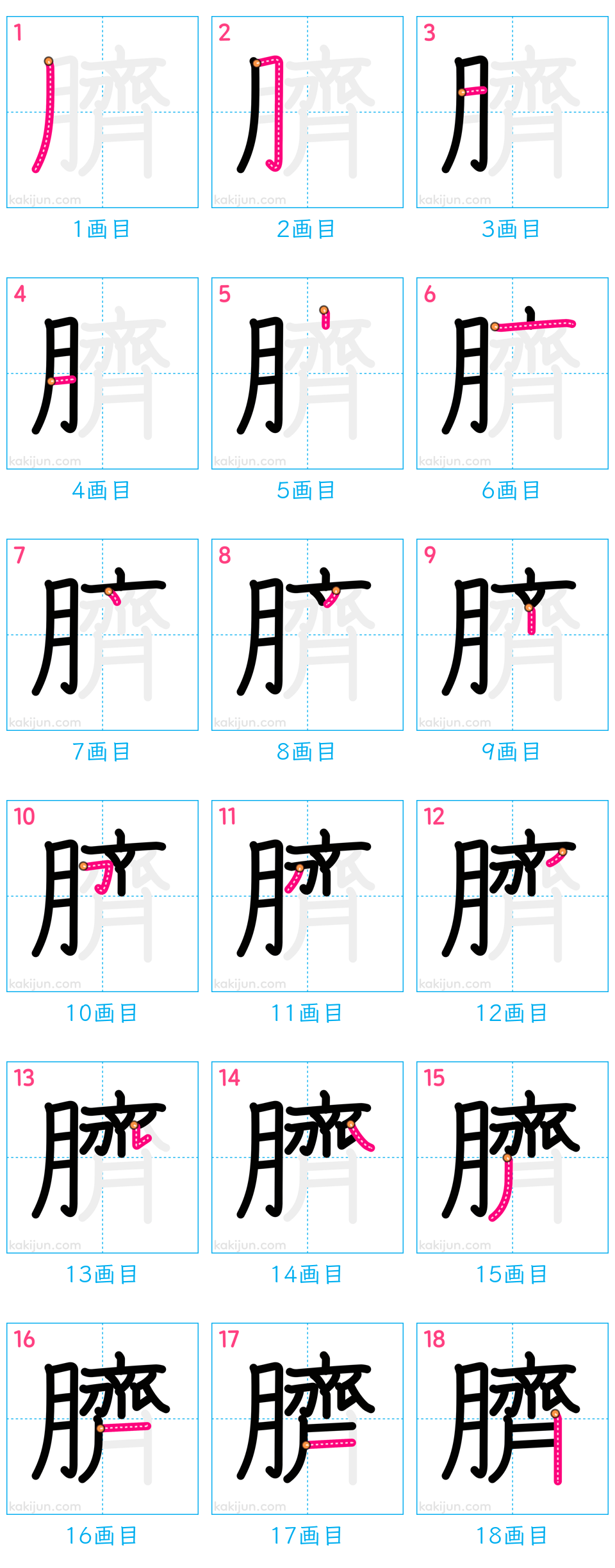 「臍」の書き順（画数）