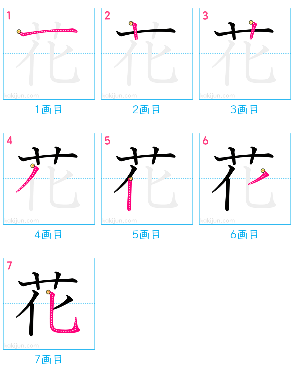 「花」の書き順（画数）