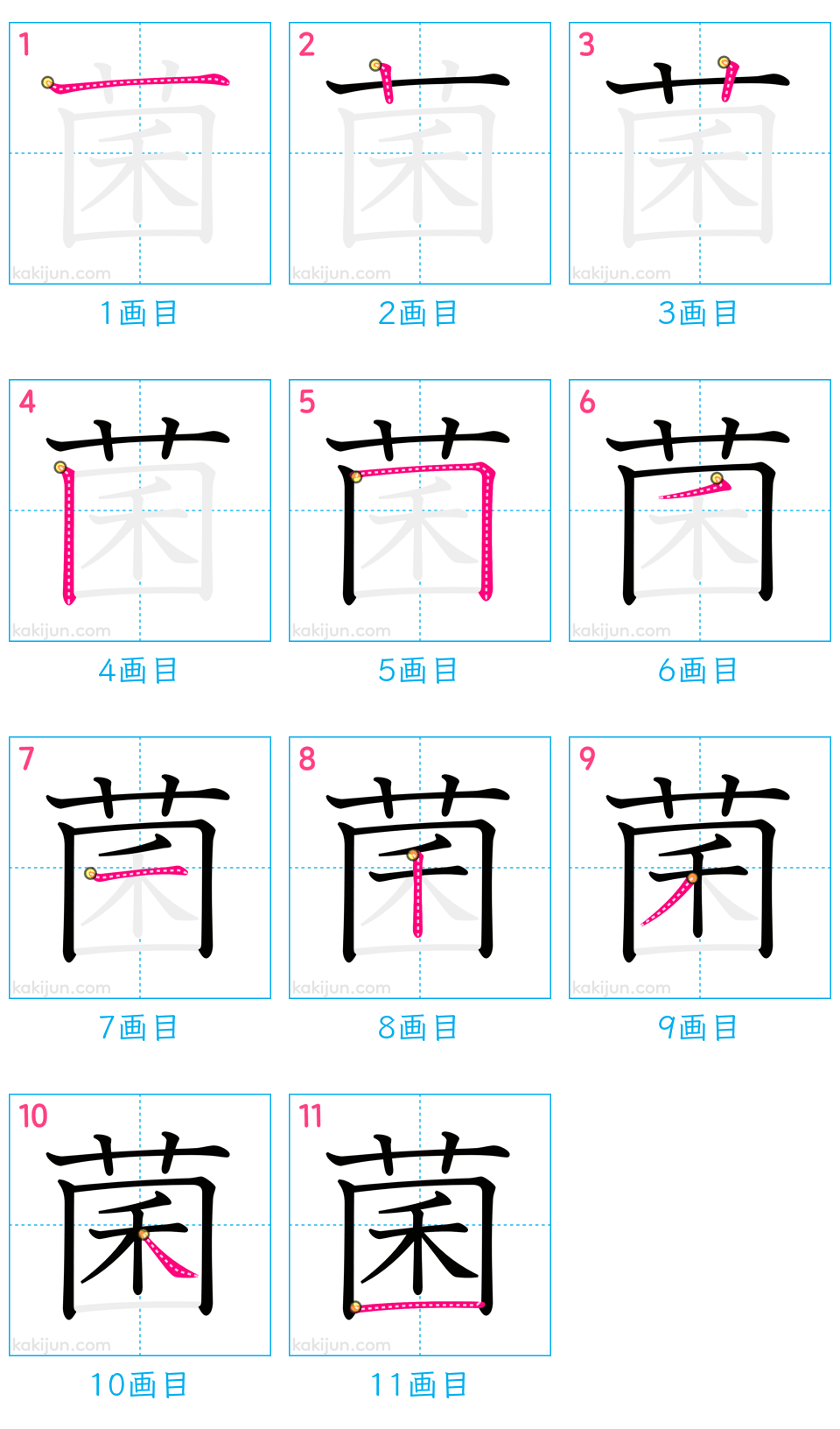 「菌」の書き順（画数）