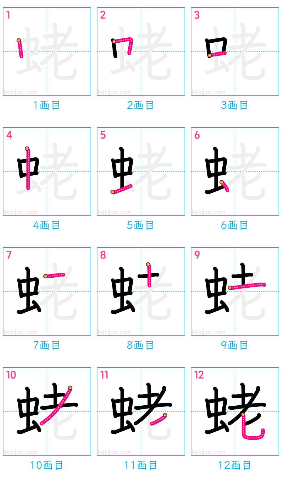 「蛯」の書き順（画数）